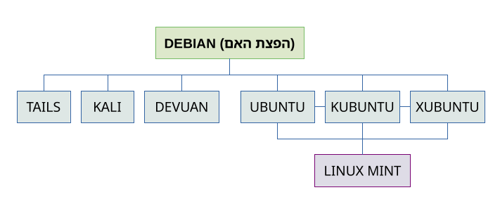 תרשים המציג את הפצות הבת של debian. בראש התרשים debian שהיא הפצת האם, ועל בסיסה נוצרות הפצות אחרות. מתחתיה, ההפצות ubuntu, devuan, kali ו-tails. להפצה ubuntu ישנן הפצות אחות, ושמותיהן kubuntu, lubuntu ו-xubuntu. להפצת ubuntu ולאחיותיה, הפצת בת משותפת הנקראית linux mint, והיא למעשה הפצה-נכדה של debian.